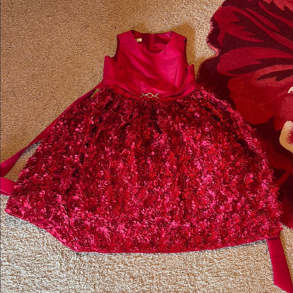 Ruby Red Dress